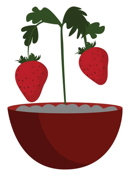 Fraises Maison Illustration Vecteur Sur Fond Blanc — Image vectorielle