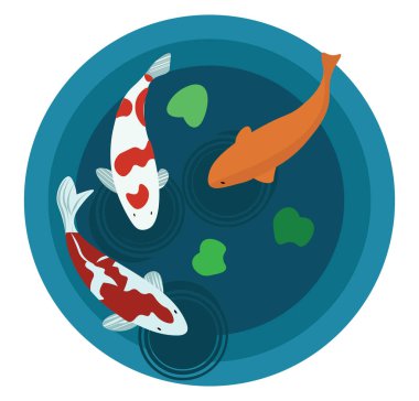 Koi sazan balığı, illüstrasyon, beyaz arkaplanda vektör