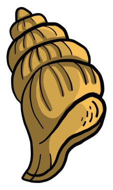 Turuncu kabuk, illüstrasyon, beyaz arkaplan üzerindeki vektör