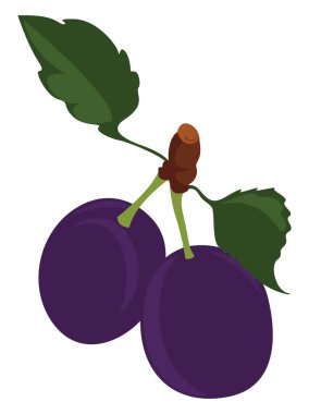 Mor erikler, illüstrasyon, beyaz arkaplanda vektör