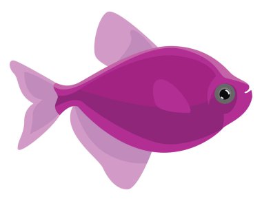 Mor balık, illüstrasyon, beyaz arkaplanda vektör