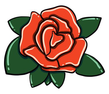 Kırmızı gül, illüstrasyon, beyaz arkaplanda vektör