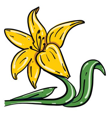 Muhteşem sarı çiçek, illüstrasyon, beyaz arkaplanda vektör