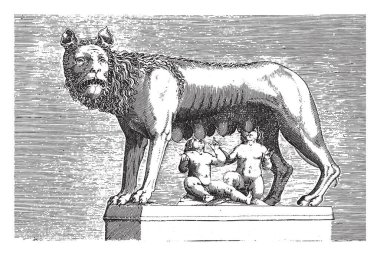 Lupa Capitolina 'nın ikizleri emziren heykeli Romulus ve Remus, anonim, 1584, vintage gravür..