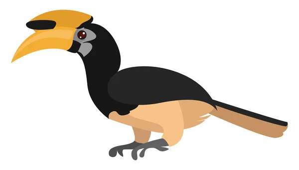 Hornbill Ptak Ilustracja Wektor Białym Tle — Wektor stockowy