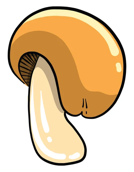 Forest Mushroom Illustration Vector White Background — Stock Vector