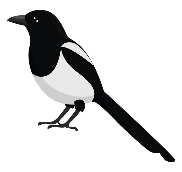 Magpie Fågel Illustration Vektor Vit Bakgrund — Stock vektor