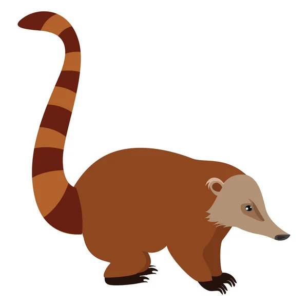 Nasua Tier Illustration Vektor Auf Weißem Hintergrund — Stockvektor