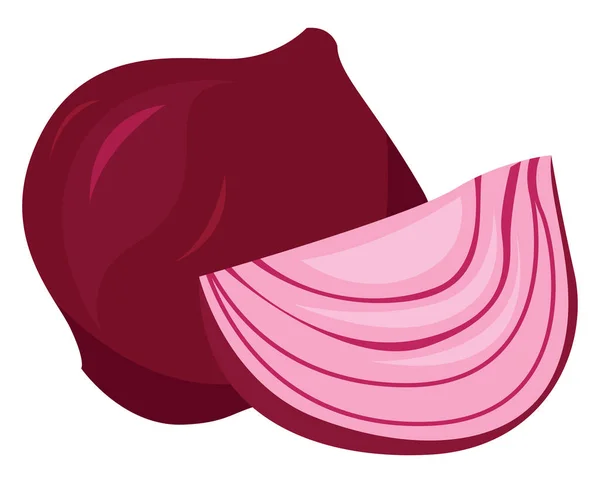Red Onion Illustration Vector White Background — Stock Vector
