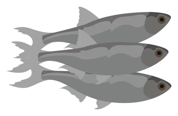 Sprat Fish Illustration Vecteur Sur Fond Blanc — Image vectorielle