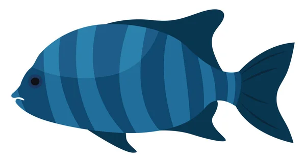 Stripped Beakfish Ilustrace Vektor Bílém Pozadí — Stockový vektor