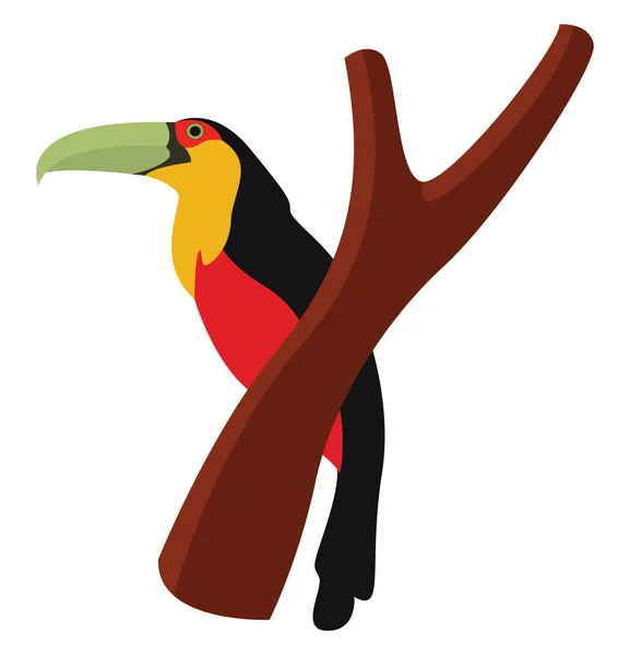 Toucan Ένα Κλαδί Εικονογράφηση Διάνυσμα Λευκό Φόντο — Διανυσματικό Αρχείο