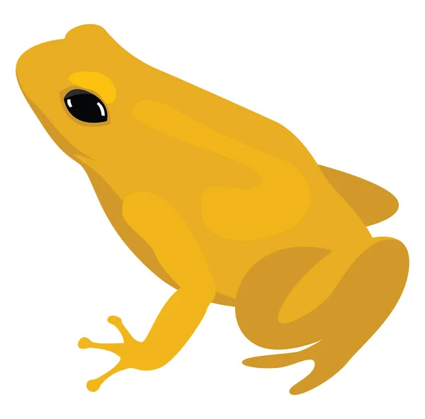 Yellow Frog Illustration Vector White Background — Stock Vector
