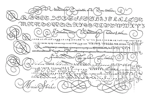 荷兰首都的例子 常设字母和斜体字 斯特里克 1618年荷兰首都的例子 常设字母和斜体字 十三行 老式雕刻 — 图库矢量图片