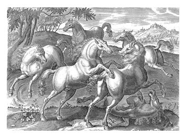 Kaçak bir atla savaşan atlar, Adriaen Collaert 'ten sonra, Jan van der Straet' den sonra, 1624 'ten önce - 1648' den önce bir grup at bir arazide dövüştü..