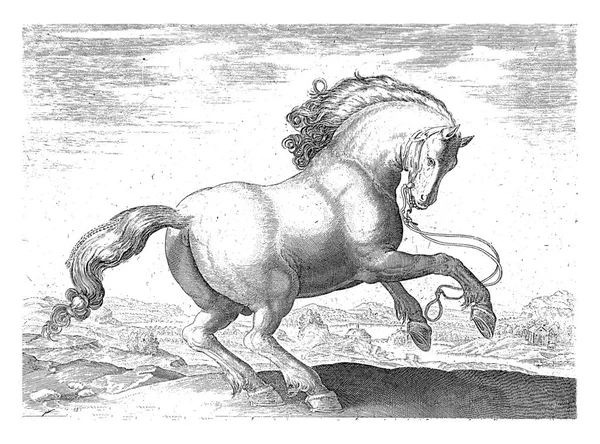 Paard Uit Denemarken Anoniem Naar Hans Collaert Naar Hendrick Goltzius — Stockfoto