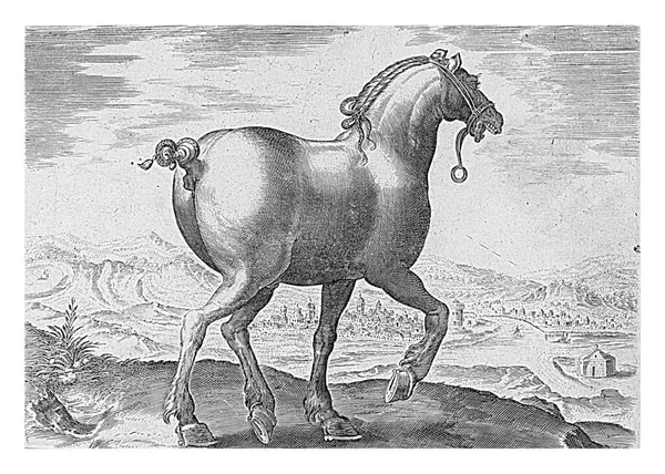 ザクセン州出身の馬 ヒエロニムス ウィリックスの後 ファン ストリートの後 1624 前1648後ろから見た風景の中にサクソン馬 ヴィンテージ彫刻 — ストック写真