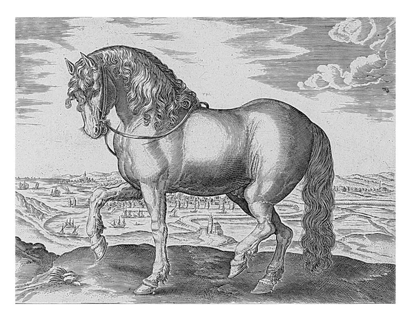 Horse Friesland Anonymous Hendrick Goltzius Jan Van Der Straet 1624 — Stock Photo, Image