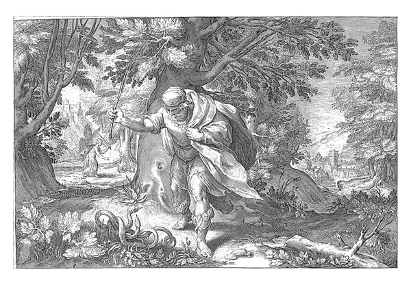 Tiresias Strikes Two Mating Snakes Forest Turns Woman Vintage Engraving — Stock Photo, Image