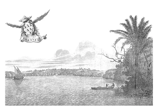 Paraiba 1636 1644 空中に翼のある包帯と6つの山やバスケットを持つ腕のコート ヴィンテージ彫刻 — ストック写真