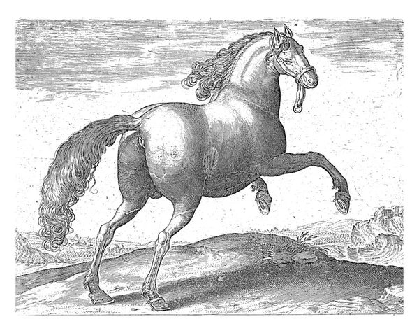 スペイン産馬 ヒエロニムス ウィリックスの後 ファン ストリートの後 1624 前1648風景の中にスペインの馬 ヴィンテージ彫刻 — ストック写真