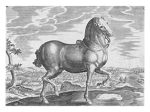 Άλογο Από Την Αγγλία Ανώνυμο Σύμφωνα Τον Hans Collaert Σύμφωνα — Φωτογραφία Αρχείου