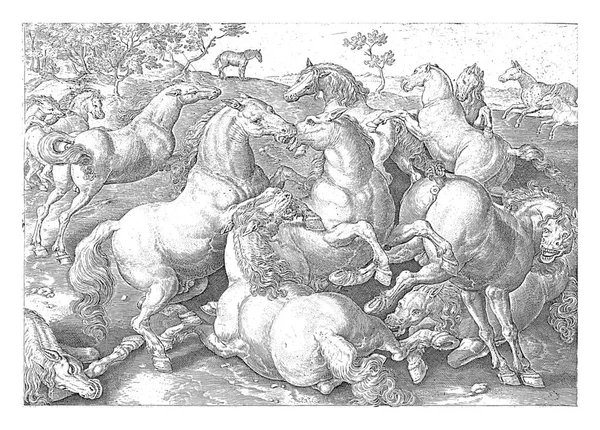 Walczące Konie Anonimowe Hendricku Goltziusie Janie Van Der Straecie 1624 — Zdjęcie stockowe