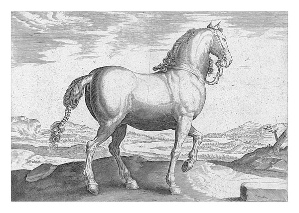 フランドル出身の馬 ハンスCollaert後 ヘンドリック ゴルツィウスの後 ファン ストリートの後 1624 1648年前Aフランダースの馬 ヴィンテージ彫刻 — ストック写真