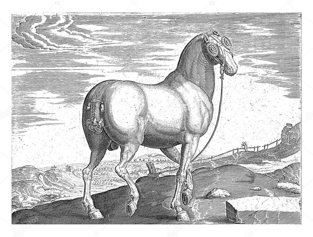 Horse from Corsica, anonymous, after Hans Collaert (I), after Hendrick Goltzius, after Jan van der Straet, 1624 - before 1648 A Corsican horse, seen from behind, vintage engraving.