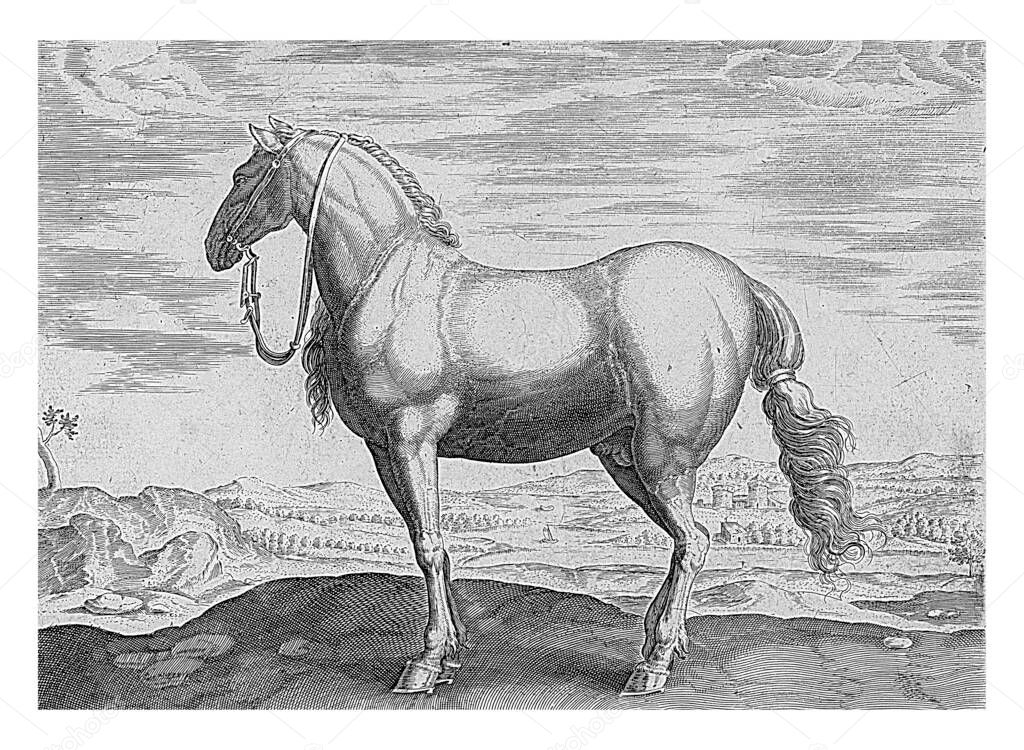 Horse from Northern Italy, anonymous, after Hans Collaert (I), after Hendrick Goltzius, after Jan van der Straet, 1624 - before 1648 A Northern Italian horse in a landscape, vintage engraving.