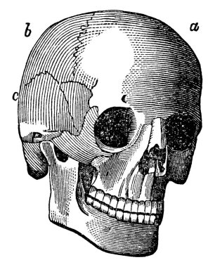 'c' noktasında iki dairenin kesiştiği bir diyagram, klasik çizgi çizimi veya gravür çizimi.
