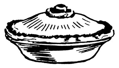 Resim, üzerine resim işlenmiş bir turtanın tamamını gösteriyor ve yiyecekleri böceklerden, sineklerden, klasik çizimlerden ya da resimlerden uzak tutan bir kapakla destekleniyor..