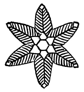 Tüylü buz kristalinin tipik bir temsili, kar tanesi, altı katlı bir simetri, klasik çizgi çizimi veya kabartma çizimi gösterir..