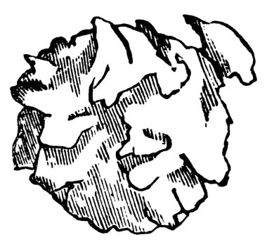 Kardeş çömlekçi-eşek arısı, Eumenes kardeşliği, eşekarısı hücresi, bazı kısımlarında düz olmayan çizgiler, klasik çizimler ya da kabartma çizimler.