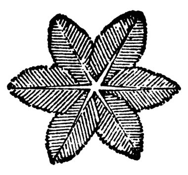 Kar, yıldız kristallerinde katılaşmış, modifiye edilmiş ve atmosferde yüzen sudur. Bu kristaller bulutları oluşturan Vesicles konjestilasyonundan ortaya çıkar, ikincisinin sıcaklığı sıfırın altında olduğunda, vintage çizgi çizimi veya engr