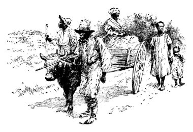 Bu figür, at arabalarıyla seyahat eden Afrikalı-Amerikalı çiftçileri tasvir ediyor. Bir adam yük arabasında diğerleri yürüyerek, tarlalardan, klasik çizimlerden ya da resimlerden geçiyor.. 