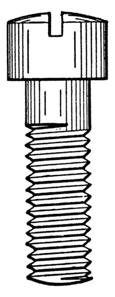 Machine Screw Pasador Metal Corto Delgado Puntiagudo Con Una Cabeza — Archivo Imágenes Vectoriales