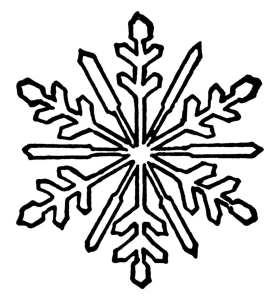 雪花一种羽毛状冰晶 雪片上有精美的六折对称性 老式线条画或雕刻插图 — 图库矢量图片