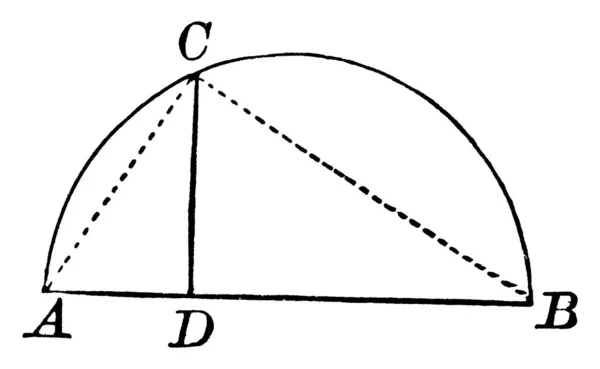 Triangle Droit Cdb Inscrire Demi Cercle Diamètre Cercle Est Moyenne — Image vectorielle