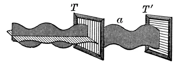 Diagramma Che Rappresenta Effetto Tenere Lenti Polarizzanti Angolo Retto Una — Vettoriale Stock