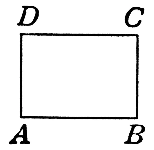 Dört Köşeli Dikdörtgen Gösterilir Klasik Çizgi Çizimi Veya Gravür Çizimi — Stok Vektör