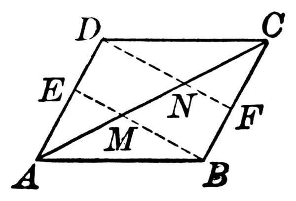 Parallellogram Med Hörn Abcd Och Diagonal Vintage Linje Ritning Eller — Stock vektor