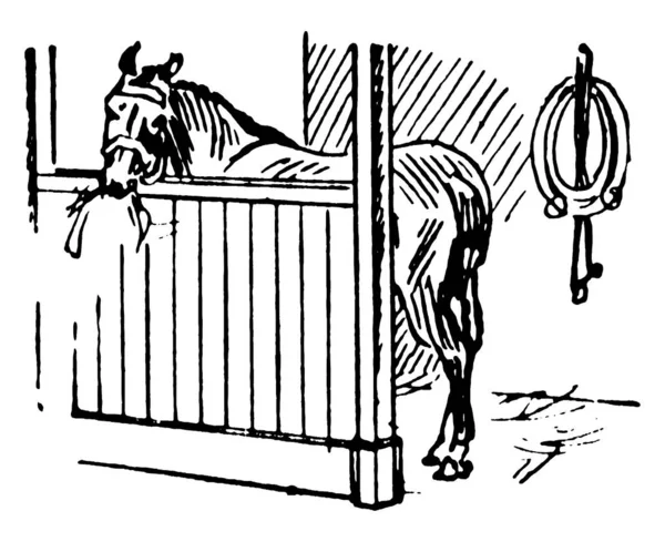 Das Bild Zeigt Ein Pferd Das Einem Stall Füttert Allgemeinen — Stockvektor