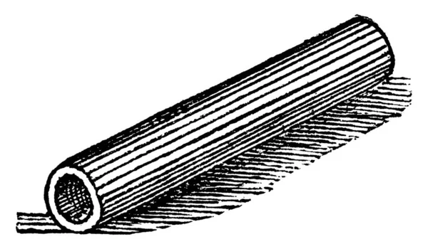 Una Representación Típica Tubo Cualquier Tubo Largo Cuerpo Hueco Utilizado — Archivo Imágenes Vectoriales