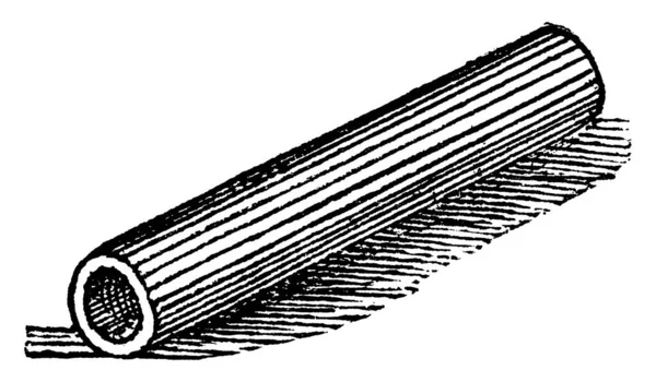 Uma Representação Típica Tubo Qualquer Tubo Longo Corpo Oco Usado — Vetor de Stock