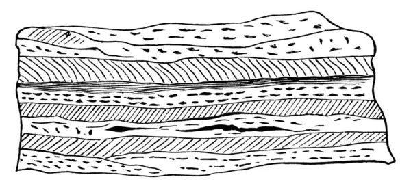 암석은 빈티지 선그리기 그림으로 이루어져 — 스톡 벡터