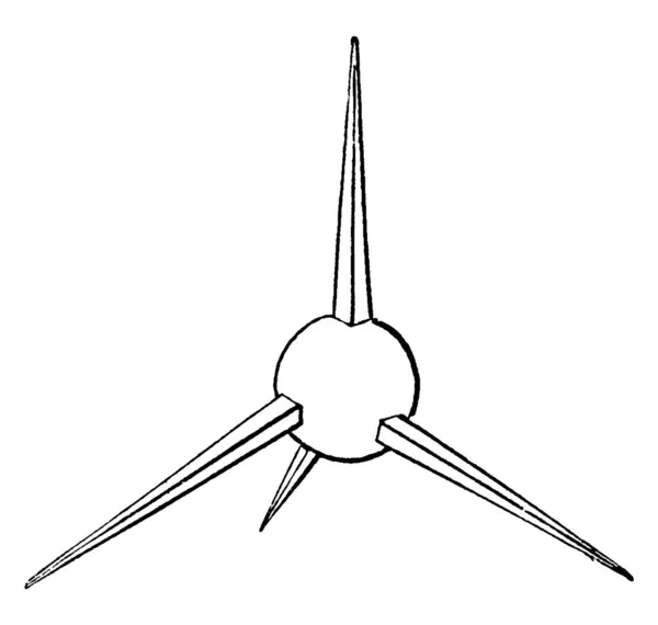 Caltrop Murex 라고도 군대들에게 괴롭힘을 쪽당은 상대방의 기병대를 방해하려고 칼집을 — 스톡 벡터