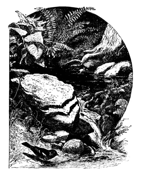 Une Représentation Typique Saison Printanière Avec Oiseau Devant Elle Dessin — Image vectorielle