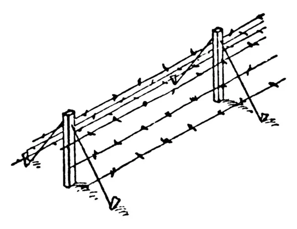 Sıradan Bir Dikenli Tel Tel Ateşin Süpürdüğü Bir Engeldir Çit — Stok Vektör