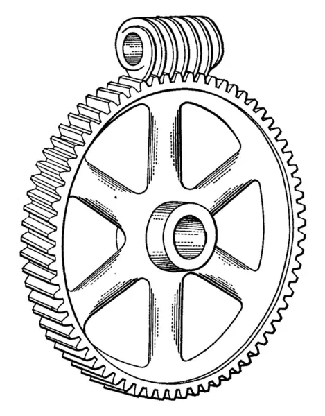 Worm Drive Gear Which Screw Meshes Teethed Wheel Vintage Line — Stock Vector